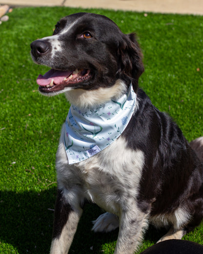 Pet Bandana