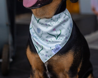 Pet Bandana