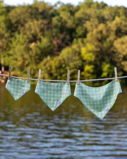 Pet Bandana