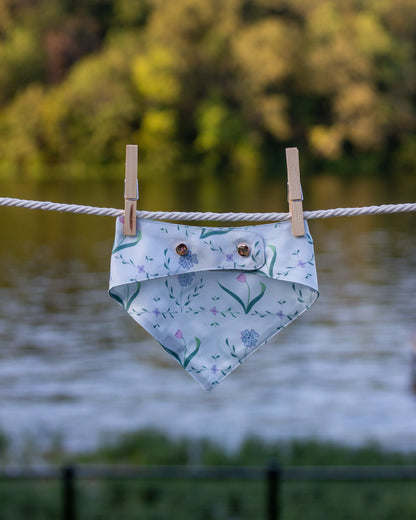 Pet Bandana