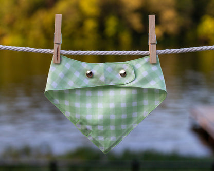 Pet Bandana