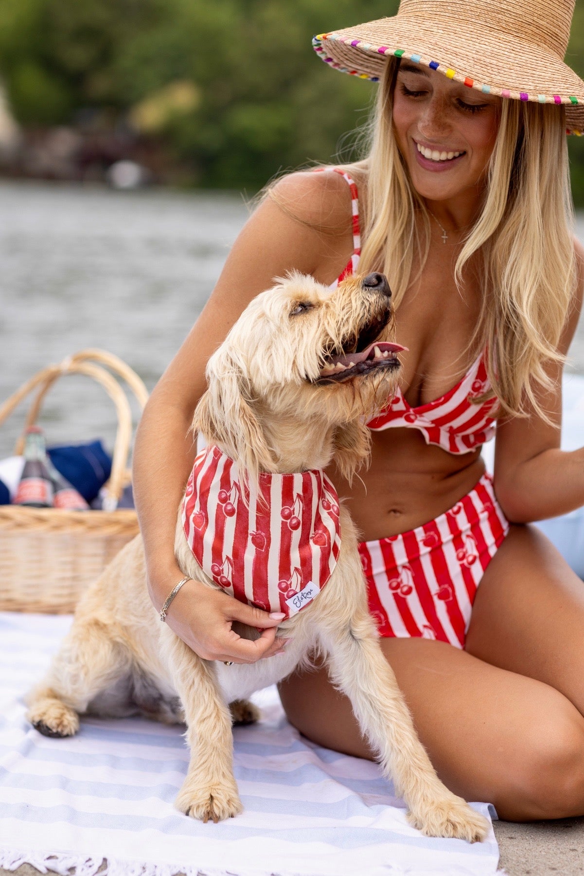 Pet Bandana